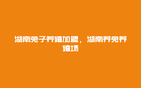 湖南兔子养殖加盟，湖南养兔养殖场