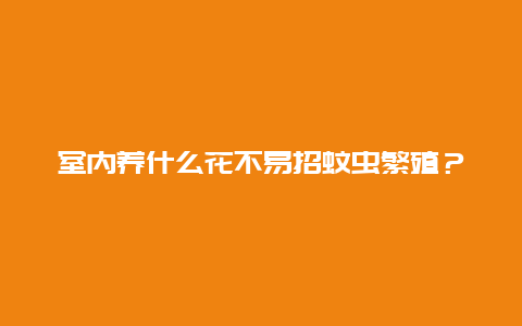 室内养什么花不易招蚊虫繁殖？