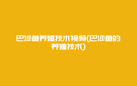 巴沙鱼养殖技术视频(巴沙鱼的养殖技术)