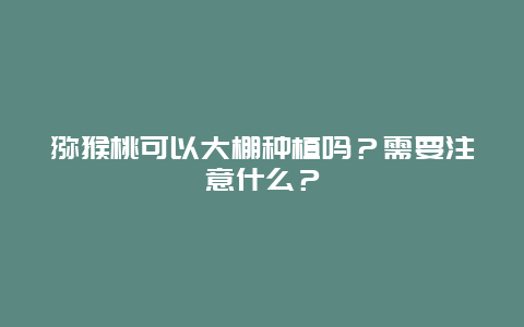 猕猴桃可以大棚种植吗？需要注意什么？