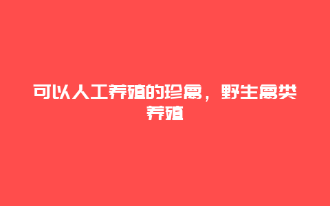 可以人工养殖的珍禽，野生禽类养殖