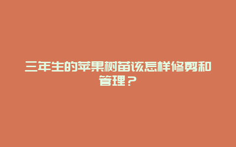 三年生的苹果树苗该怎样修剪和管理？