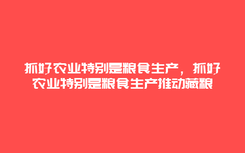 抓好农业特别是粮食生产，抓好农业特别是粮食生产推动藏粮