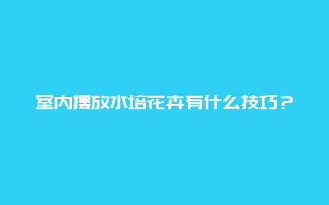 室内摆放水培花卉有什么技巧？