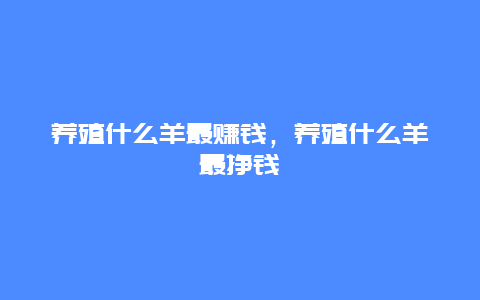 养殖什么羊最赚钱，养殖什么羊最挣钱