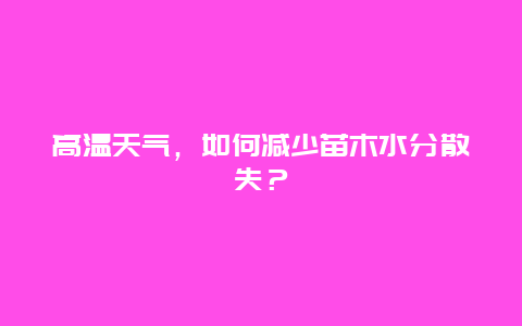 高温天气，如何减少苗木水分散失？