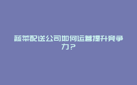 蔬菜配送公司如何运营提升竞争力？