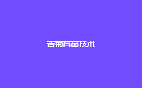 苦菊育苗技术