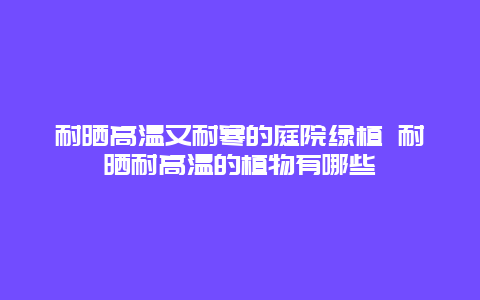 耐晒高温又耐寒的庭院绿植 耐晒耐高温的植物有哪些