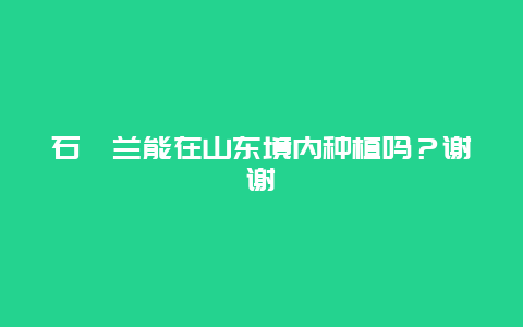 石斛兰能在山东境内种植吗？谢谢