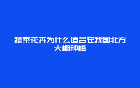 蔬菜花卉为什么适合在我国北方大棚种植