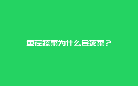 重茬蔬菜为什么会死菜？