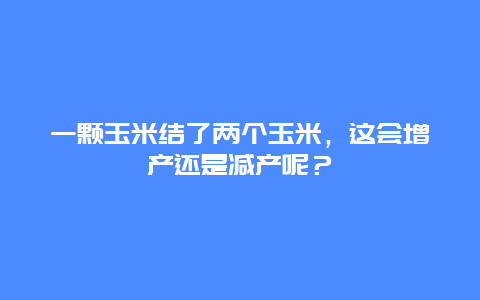 一颗玉米结了两个玉米，这会增产还是减产呢？