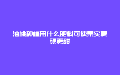 油桃种植用什么肥料可使果实更硬更甜