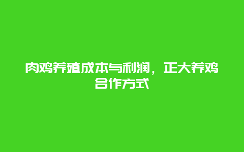 肉鸡养殖成本与利润，正大养鸡合作方式