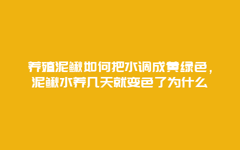 养殖泥鳅如何把水调成黄绿色，泥鳅水养几天就变色了为什么