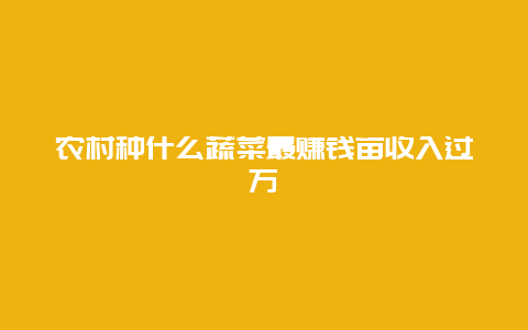 农村种什么蔬菜最赚钱亩收入过万