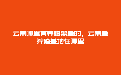 云南哪里有养殖黑鱼的，云南鱼养殖基地在哪里