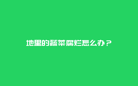 地里的蔬菜腐烂怎么办？