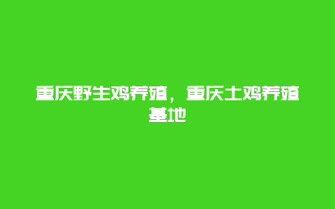 重庆野生鸡养殖，重庆土鸡养殖基地