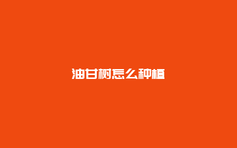 油甘树怎么种植