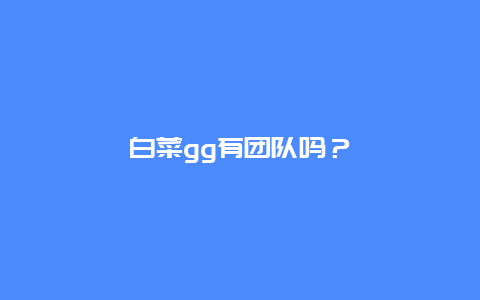 白菜gg有团队吗？