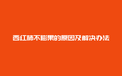 西红柿不膨果的原因及解决办法