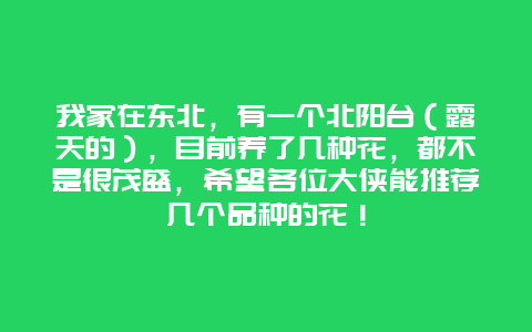 我家在东北，有一个北阳台（露天的），目前养了几种花，都不是很茂盛，希望各位大侠能推荐几个品种的花！