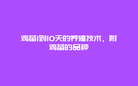 鸡苗1到10天的养殖技术，附鸡苗的品种