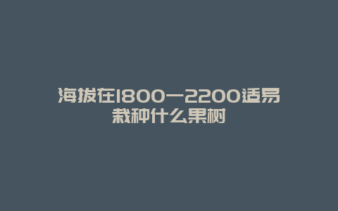 海拔在1800一2200适易栽种什么果树