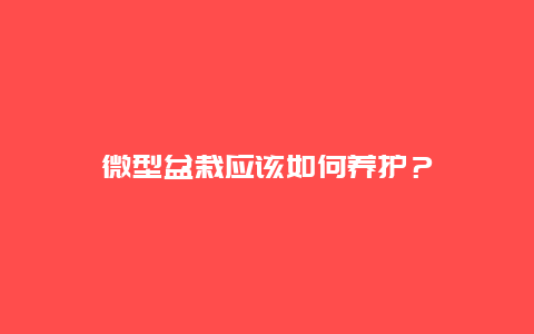 微型盆栽应该如何养护？