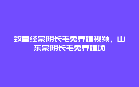 致富经蒙阴长毛兔养殖视频，山东蒙阴长毛兔养殖场