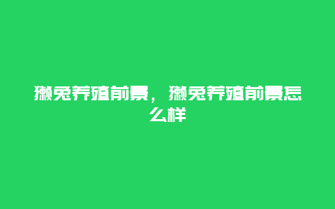 獭兔养殖前景，獭兔养殖前景怎么样