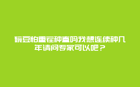 碗豆怕重茬种直吗我想连续种几年请问专家可以吧？