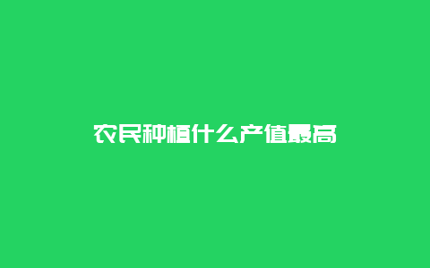 农民种植什么产值最高