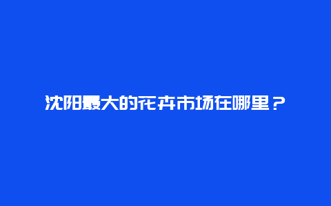 沈阳最大的花卉市场在哪里？