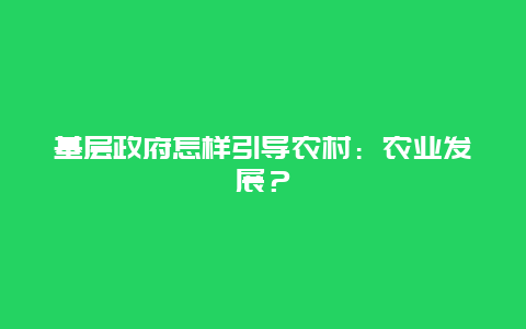 基层政府怎样引导农村：农业发展？