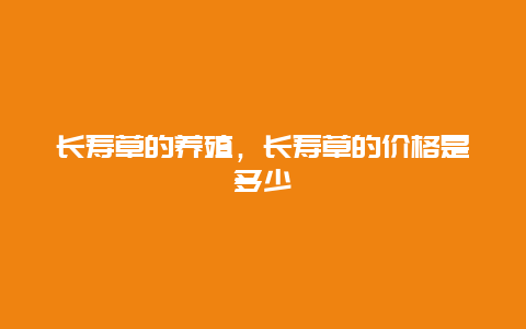 长寿草的养殖，长寿草的价格是多少