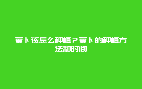 萝卜该怎么种植？萝卜的种植方法和时间