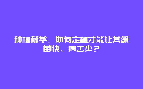 种植蔬菜，如何定植才能让其缓苗快、病害少？