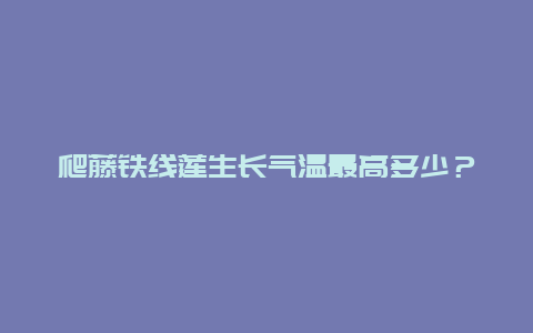 爬藤铁线莲生长气温最高多少？