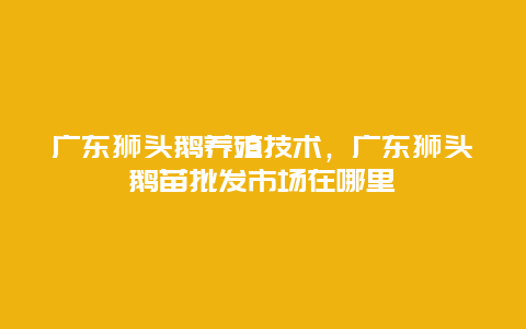 广东狮头鹅养殖技术，广东狮头鹅苗批发市场在哪里