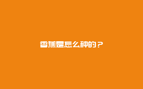 香蕉是怎么种的？