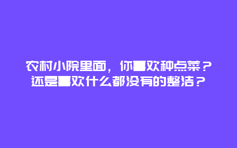 农村小院里面，你喜欢种点菜？还是喜欢什么都没有的整洁？