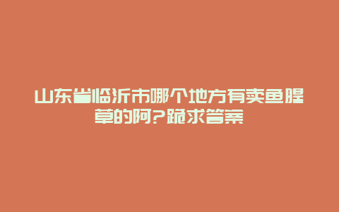 山东省临沂市哪个地方有卖鱼腥草的阿?跪求答案