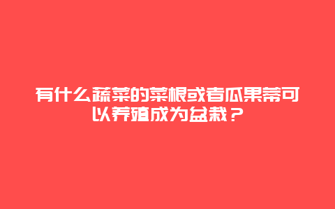 有什么蔬菜的菜根或者瓜果蒂可以养殖成为盆栽？