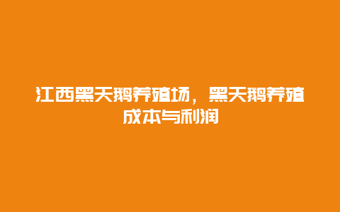 江西黑天鹅养殖场，黑天鹅养殖成本与利润