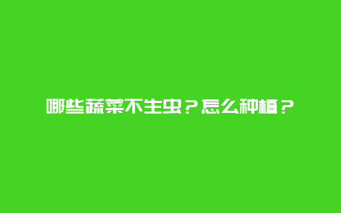 哪些蔬菜不生虫？怎么种植？