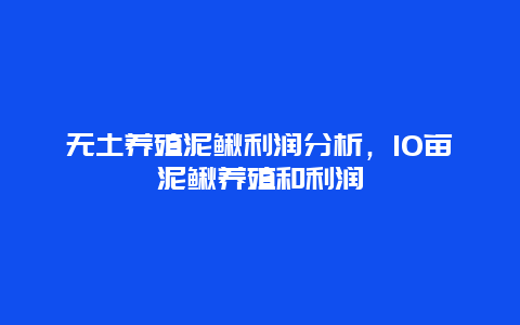 无土养殖泥鳅利润分析，10亩泥鳅养殖和利润