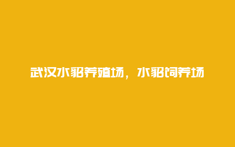 武汉水貂养殖场，水貂饲养场